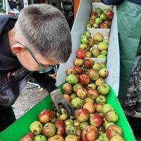 Projekt „Apfel mit Sti(e)l“ 2024